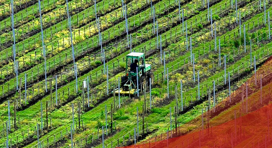 Landwirtschafts-Rechtsschutz